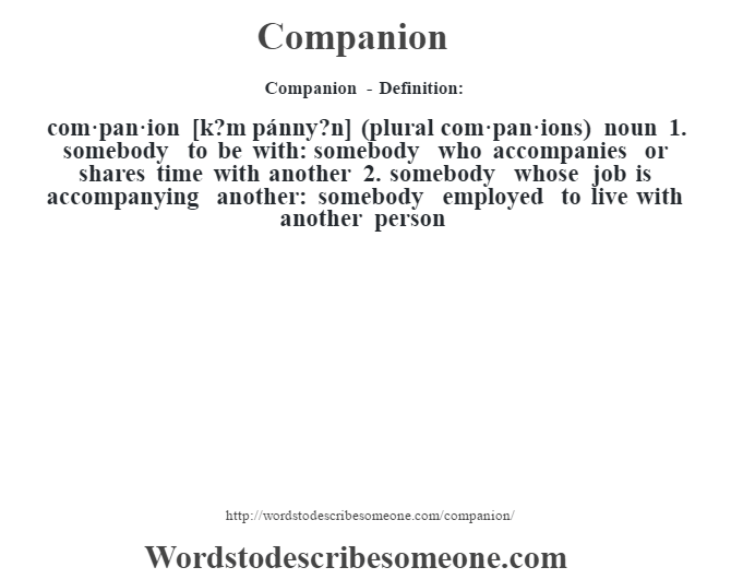 companion-definition-companion-meaning-words-to-describe-someone